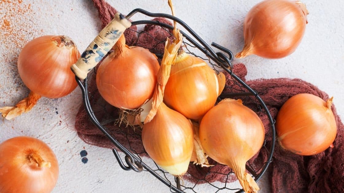 Can You Eat Cooked Onions On Keto? [Carbs & Nutrients]