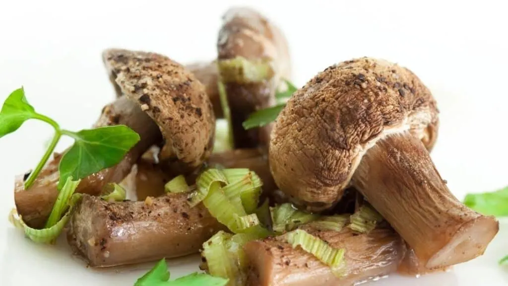 Can I replace meat with mushrooms