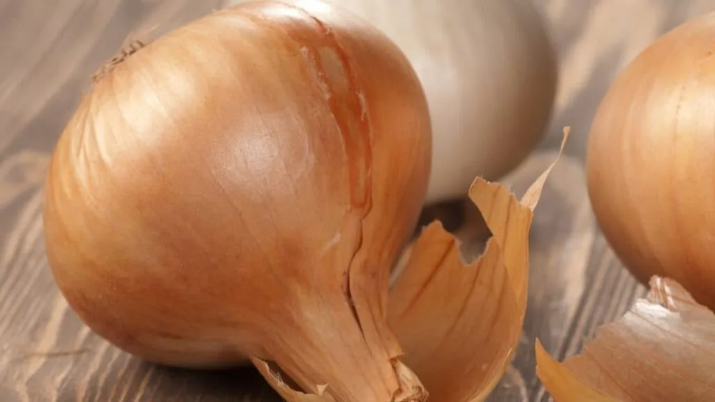 Can I substitute white onion for yellow