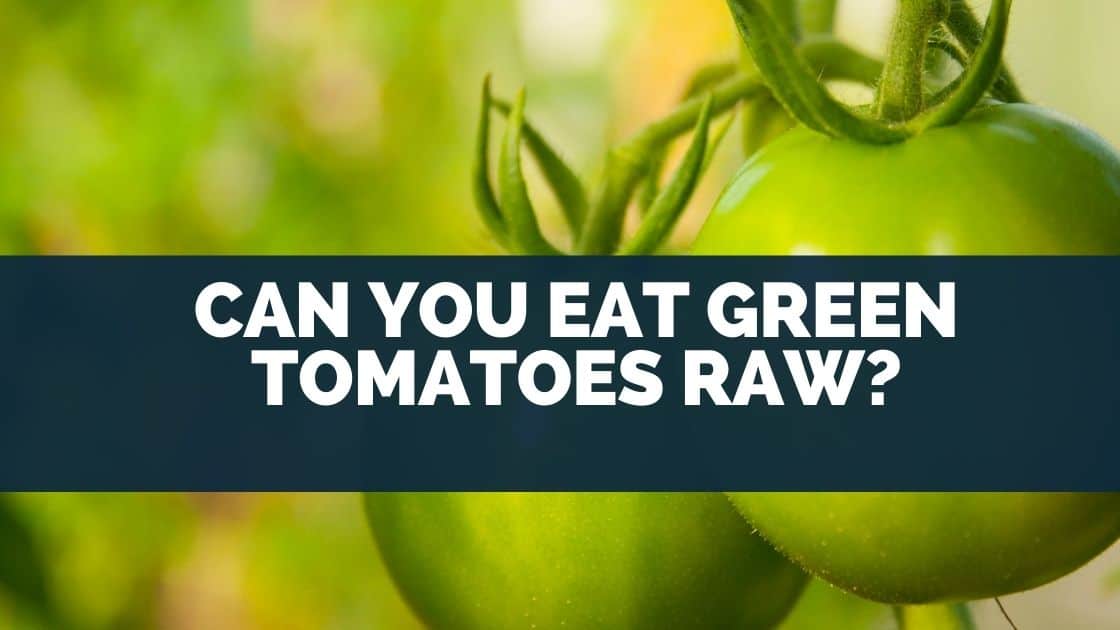 Can You Eat Green Tomatoes Raw? [This Happens IF You Do]