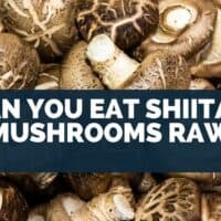 Can You Eat Shiitake Mushrooms Raw