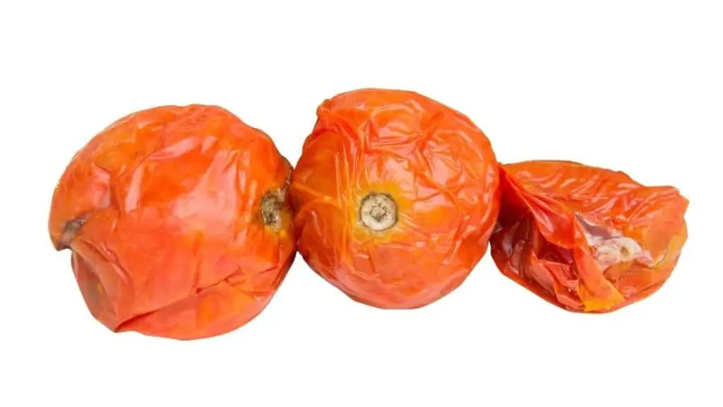 Can You Rehydrate Wrinkled Tomatoes