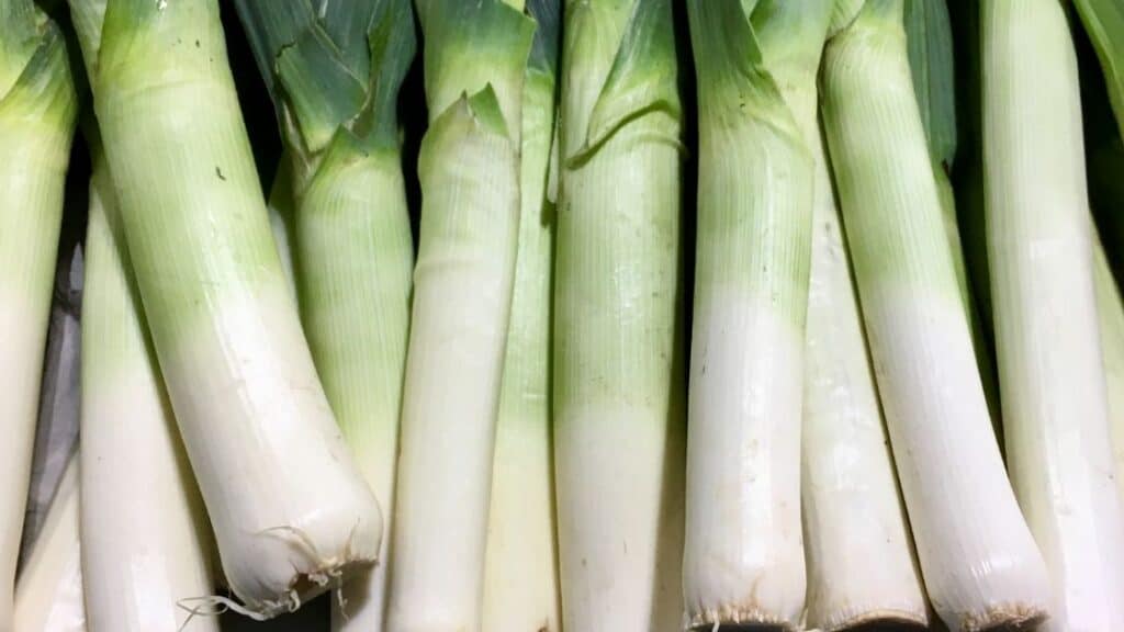 Can You Use Leeks Instead Of Green Onions
