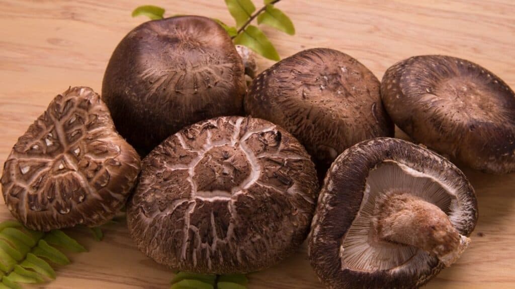 Can shiitake mushrooms make you sick