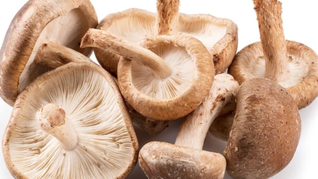 Can you cook slimy mushrooms