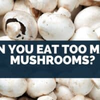 Can you eat too many mushrooms