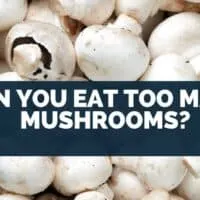 Can you eat too many mushrooms