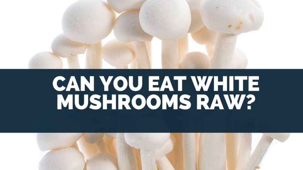 Can you eat white mushrooms raw