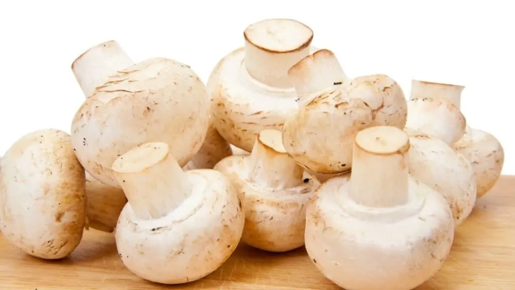 Do mushrooms make their own food