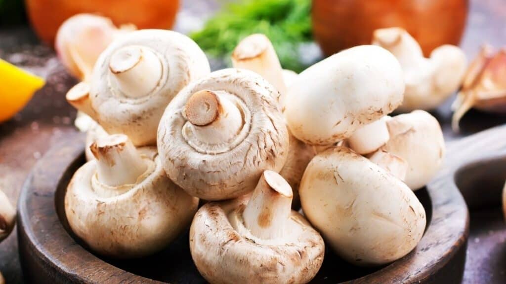 Does mushrooms have more protein than meat