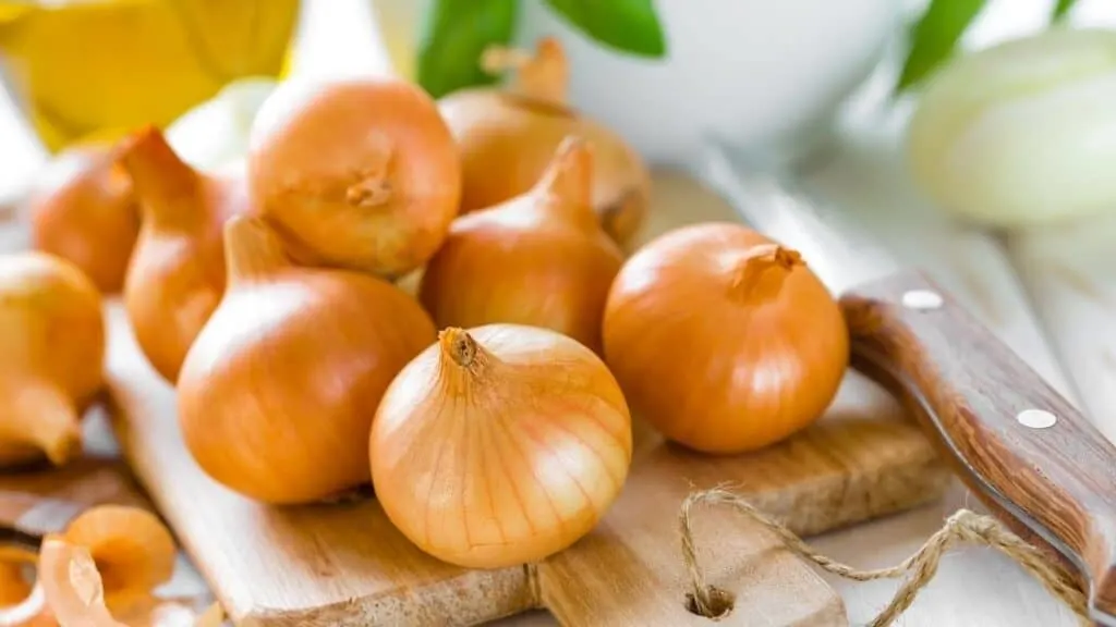 Does onion count as 5 a day