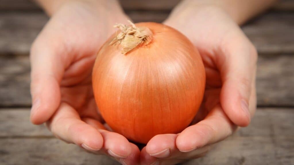 Eating raw onion benefits