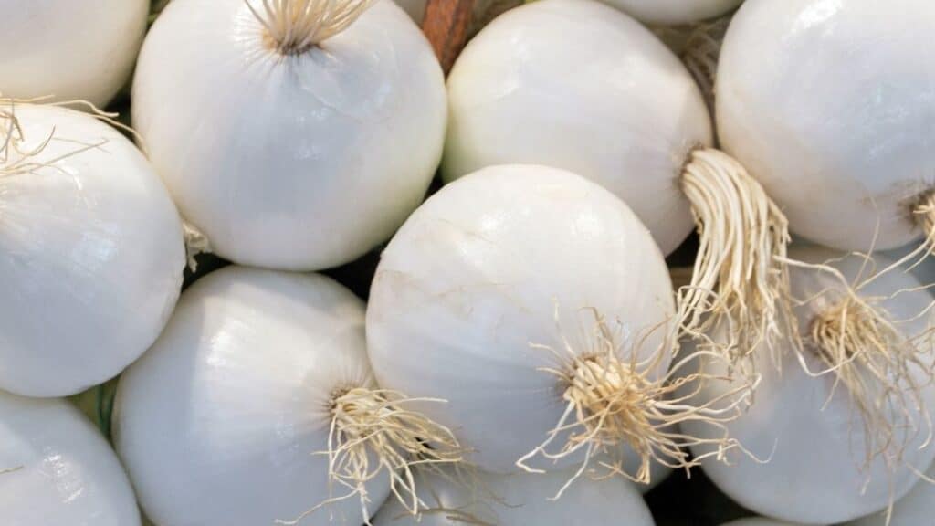 How long does a white onion last