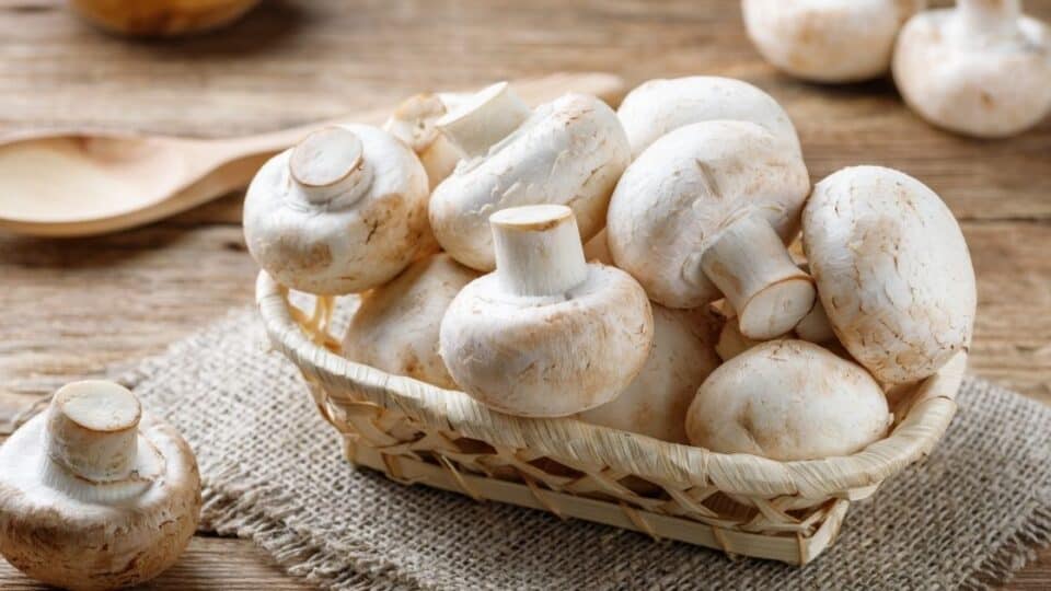 Are Mushrooms Hard To Digest? [Poop Advice]