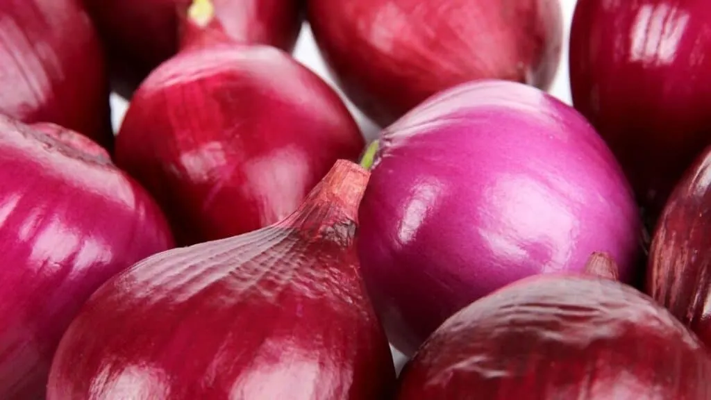 How many carbs are in a purple onion