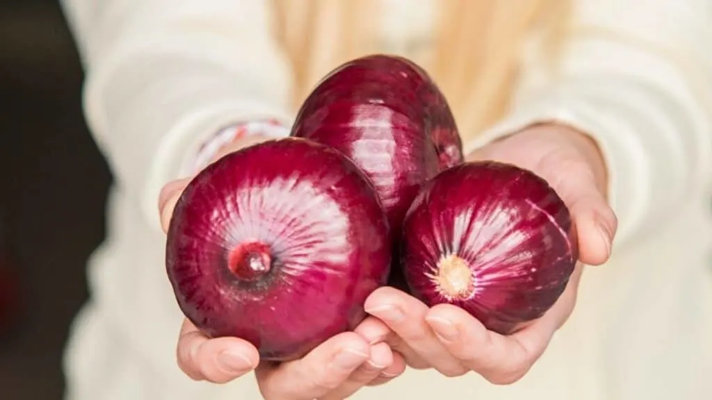 How many onions can I eat a day