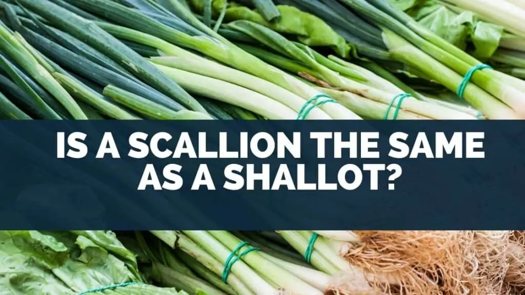 Is A Scallion The Same As A Shallot