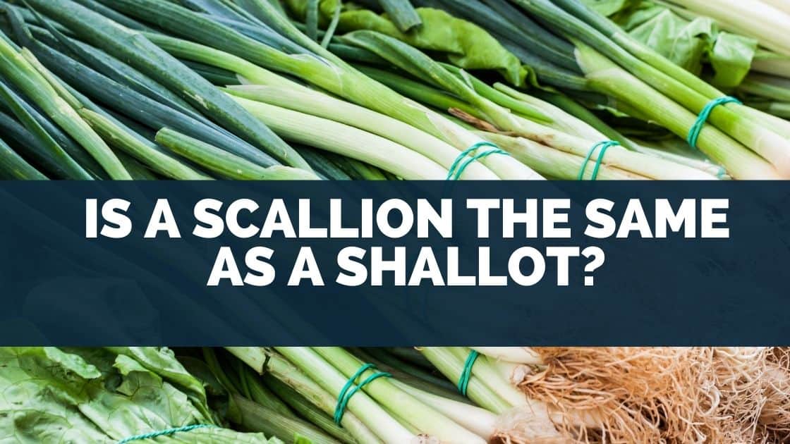 Is A Scallion The Same As A Shallot? Eat For Longer