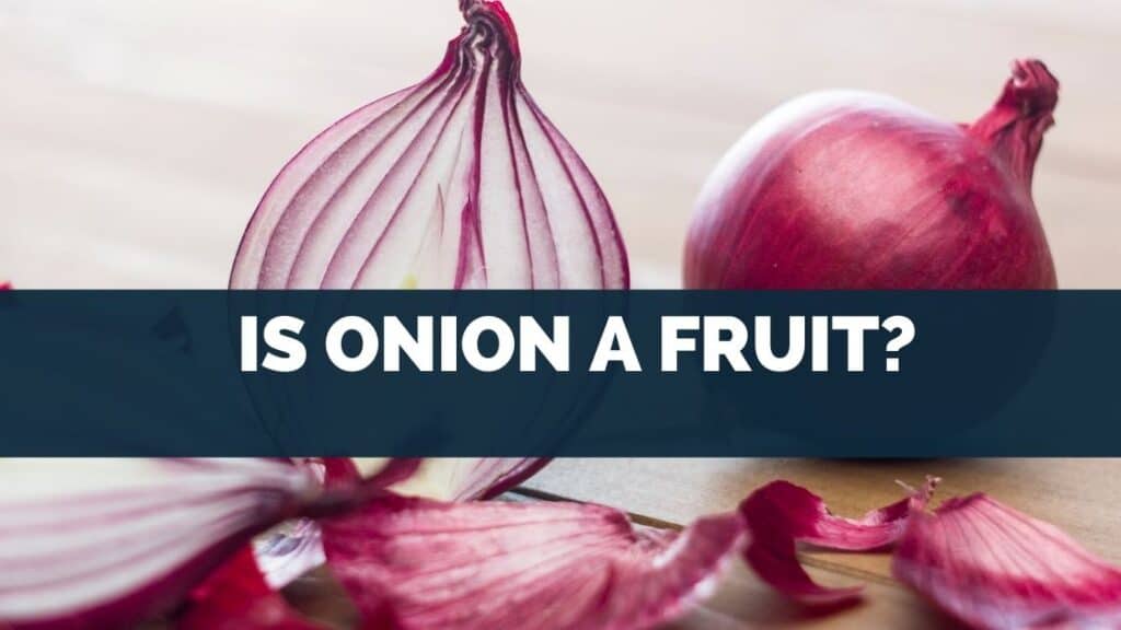 Is Onion A Fruit