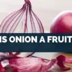 Is Onion A Fruit