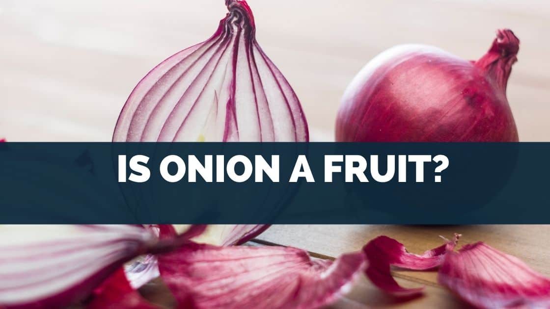 Is Onion A Fruit? [Vegetable, Stem Or Root...]
