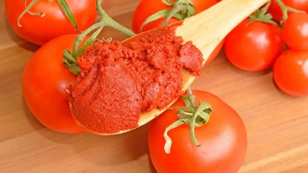 Is Tomato Paste High in Lectins