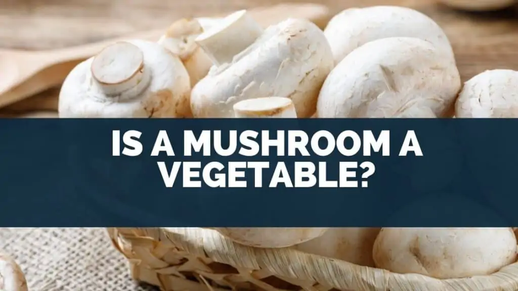 Is a Mushroom a Vegetable