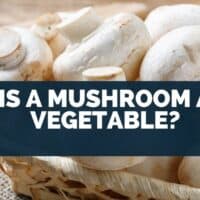 Is a Mushroom a Vegetable