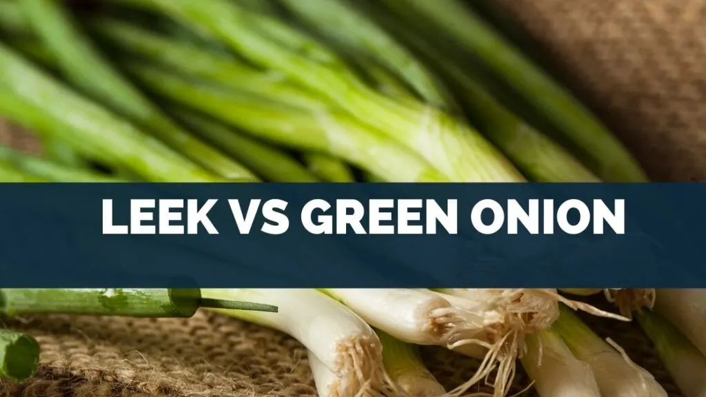 Leek vs Green Onion