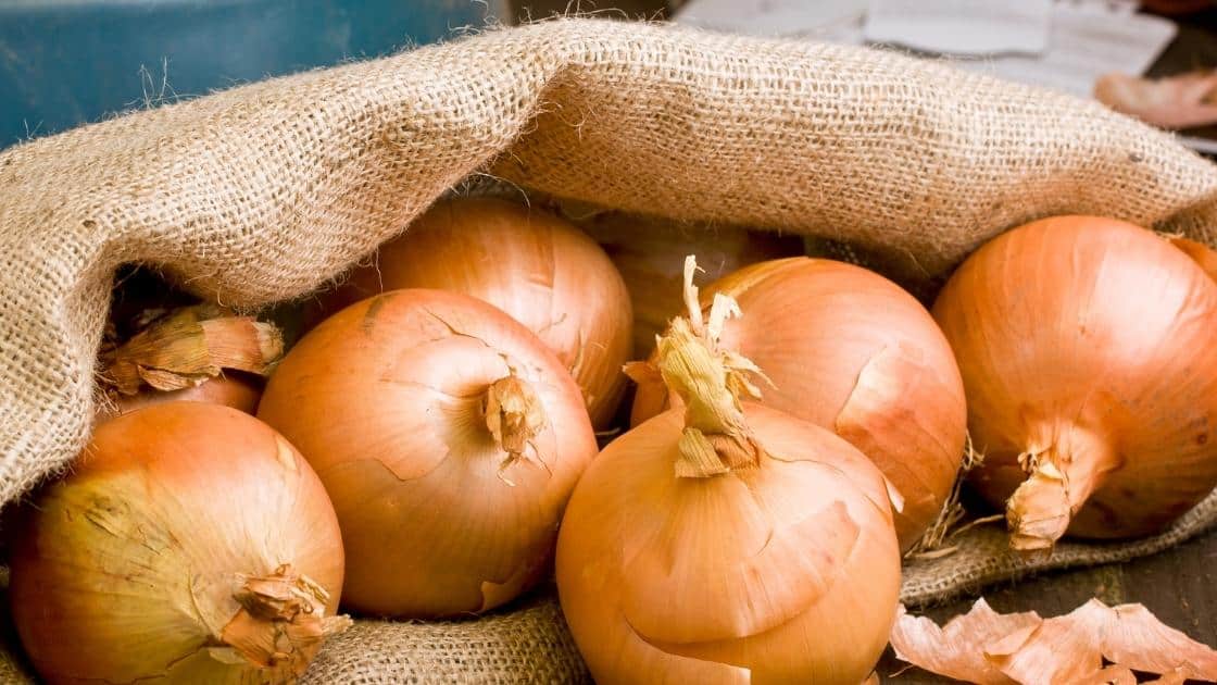 Eating Raw Onions Side Effects [How Much Is Harmful]