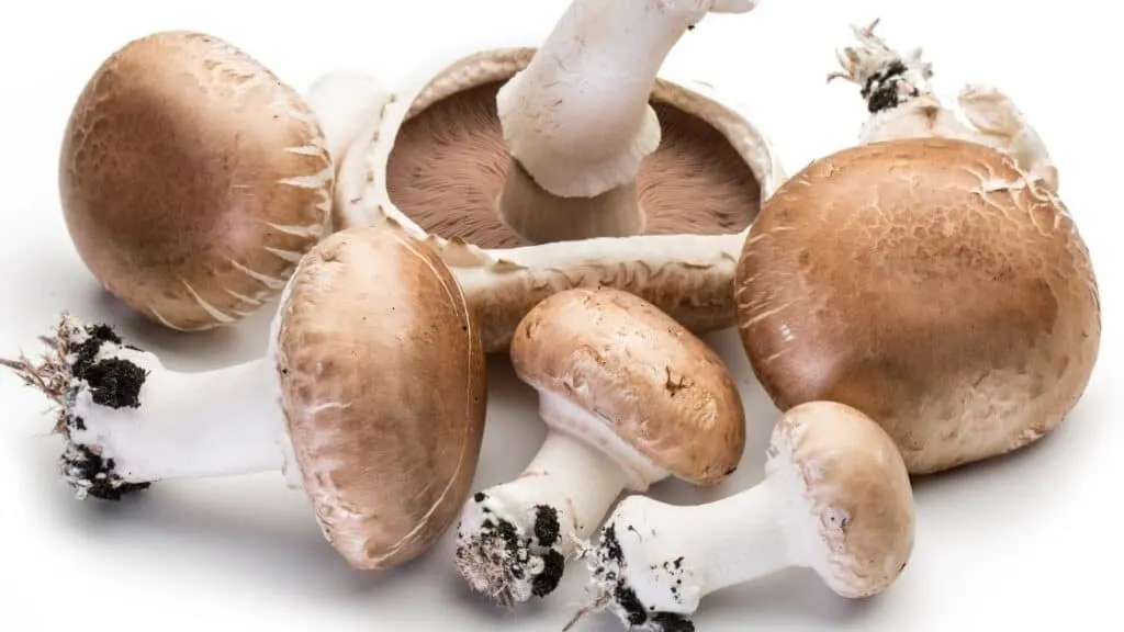 Mushrooms and upset stomach