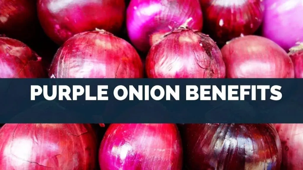 Purple Onion Benefits