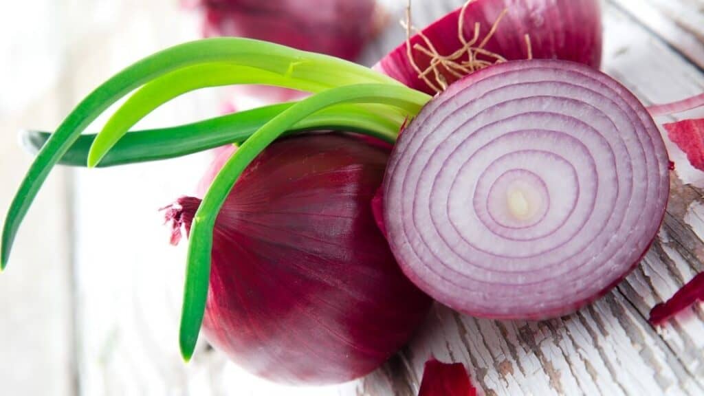 Purple onion nutrition facts