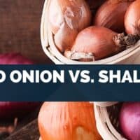 Red Onion vs. Shallot