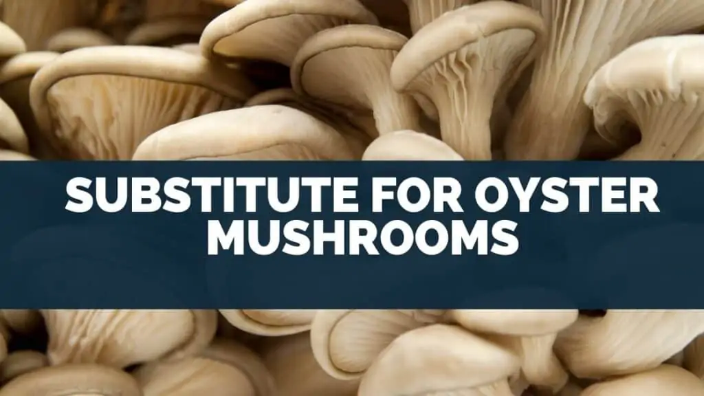 Substitute for oyster mushrooms