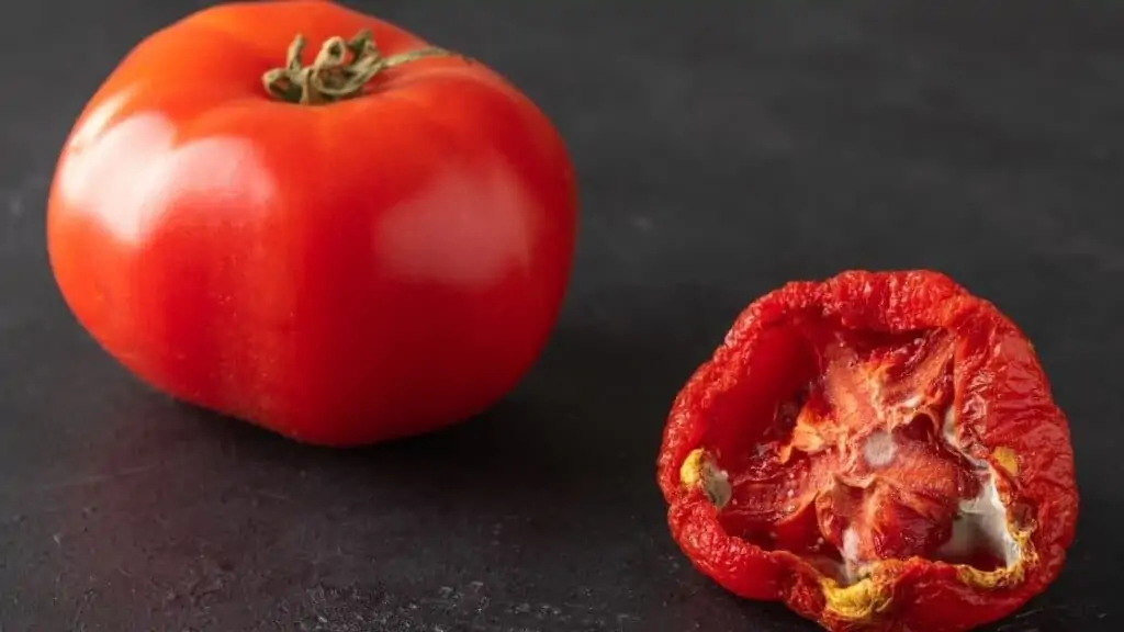 What Does It Mean if a Tomato Is Wrinkly