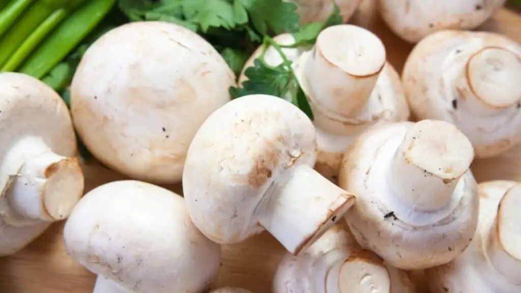 What food group are mushrooms in