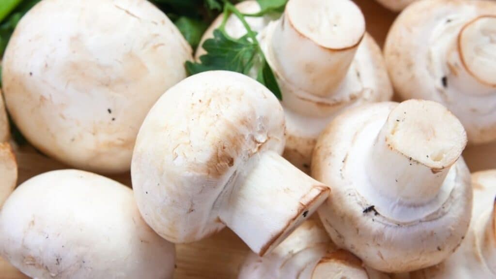 What mushrooms do chefs want