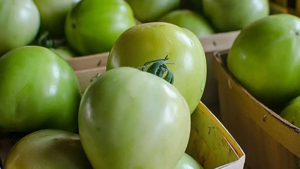 What to Do With Tomatoes That Are Still Green