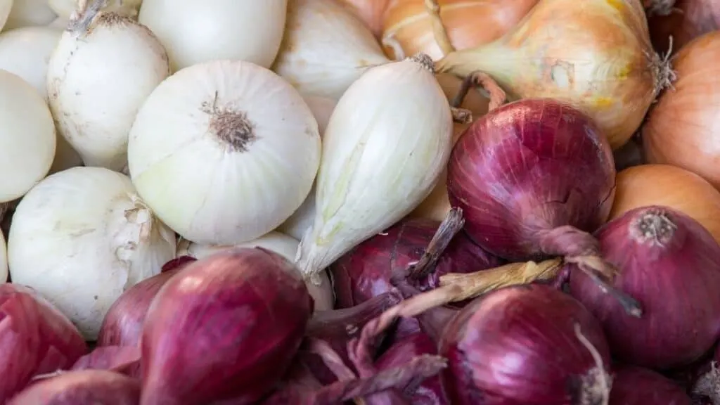 Which onion is best for cooking