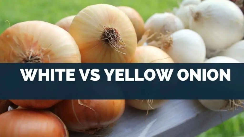 White Vs Yellow Onion