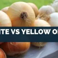 White Vs Yellow Onion