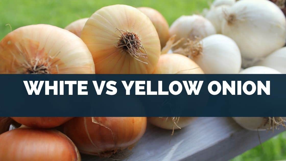 White Vs Yellow Onion [The BEST Choice Is..]