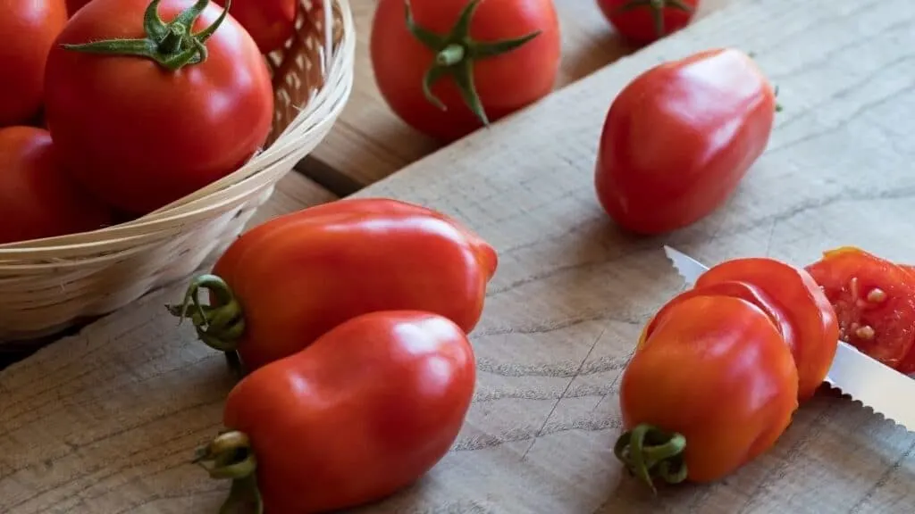 Why Are San Marzano Tomatoes the Best