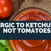 Allergic to Ketchup but Not Tomatoes