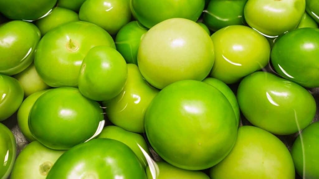Are Green Tomatoes the Same as Tomatillos
