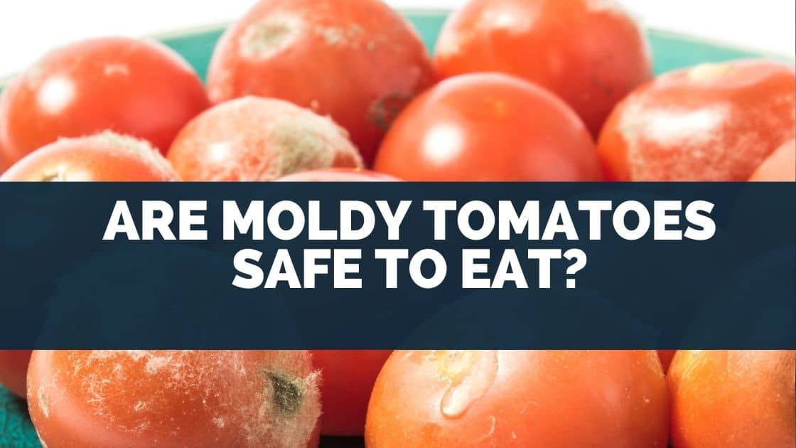 Are Moldy Tomatoes Safe to Eat? [Can You Cut it Off] Eat For Longer