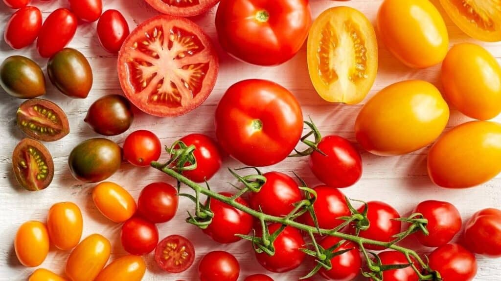 Are Tomatoes Bad for Your Stomach