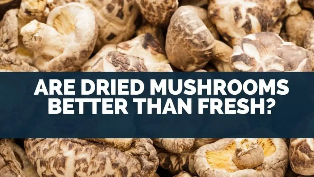 Are dried mushrooms better than fresh