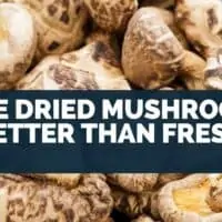 Are dried mushrooms better than fresh